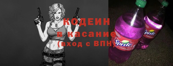 ECSTASY Алзамай