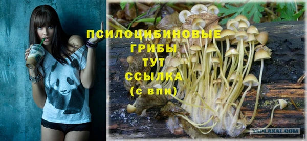 ECSTASY Алзамай