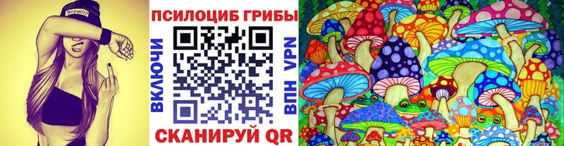 Псилоцибиновые грибы Cubensis кракен сайт Звенигово
