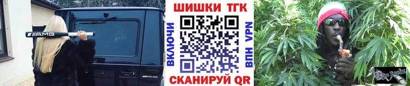 Конопля семена  kraken ссылки  Звенигово 